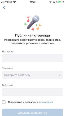 Создаем публичную страницу для бизнеса ВК, выбираем название и тематику