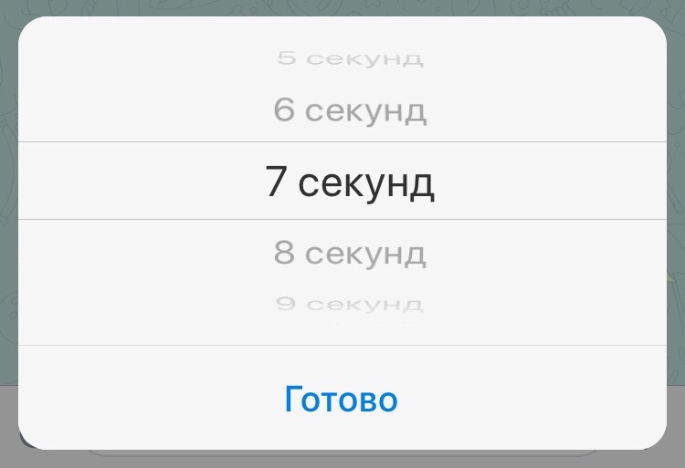 настройка таймера в telegram