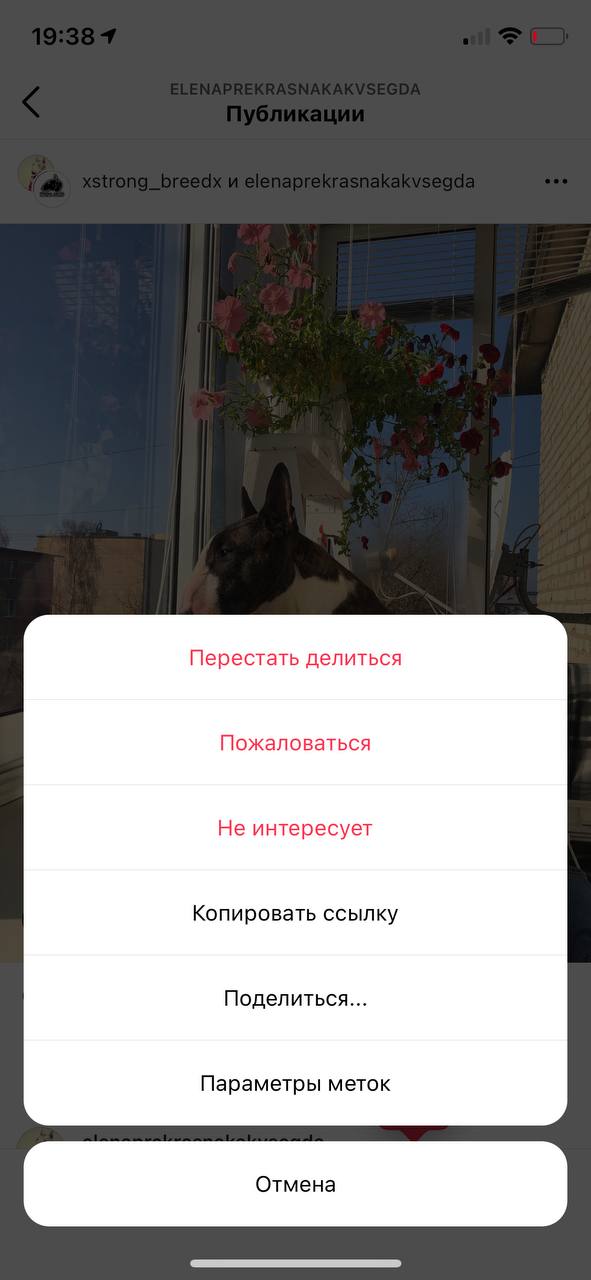 Как сделать совместную публикацию в инстаграм с телефона. Смотреть фото Как сделать совместную публикацию в инстаграм с телефона. Смотреть картинку Как сделать совместную публикацию в инстаграм с телефона. Картинка про Как сделать совместную публикацию в инстаграм с телефона. Фото Как сделать совместную публикацию в инстаграм с телефона
