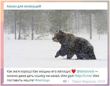 Раскрутка Телеграм канала с нуля: что и как делать?