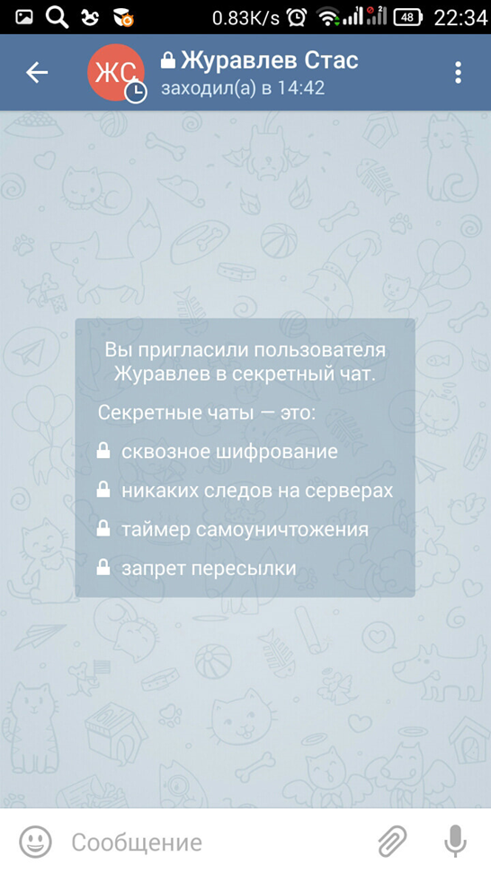 Секретный чат в Телеграм: как создать и использовать?